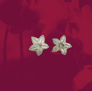 NatureArt, Schmuck, Ohrringe, Armreif, Halsketten, Ringe, Halsketten, Modeschmuck, Handgemacht, Unikat, Naturschmuck, Handemade